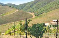Wine Tasting near Foothill Village, Retirement Villages