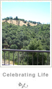 Foothill Village, Senior Residence in the Foothills of Angels Camp